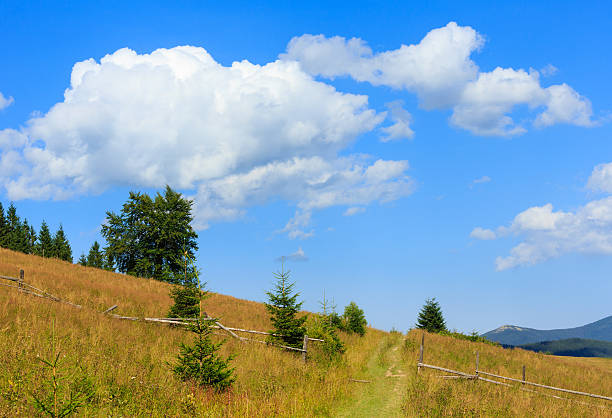 710+ Verkhovyna fotos de stock, imagens e fotos royaltyfree iStock