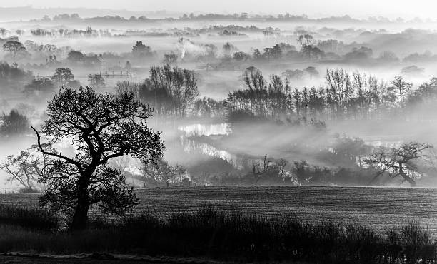 istock Morning sun rays breaking through on a misty winter morning 613776600