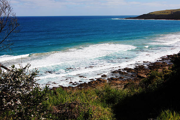istock ocean view at great ocean road 613777406