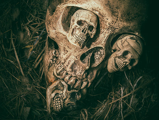 istock still life with four skull face in abandoned bird nest. 613777612