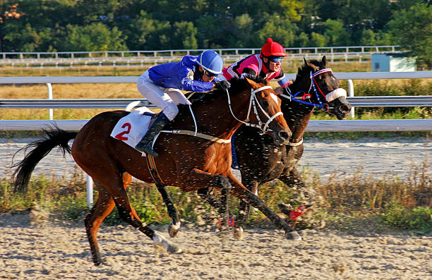 corrida de cavalos em pyatigorsk. - flat racing - fotografias e filmes do acervo