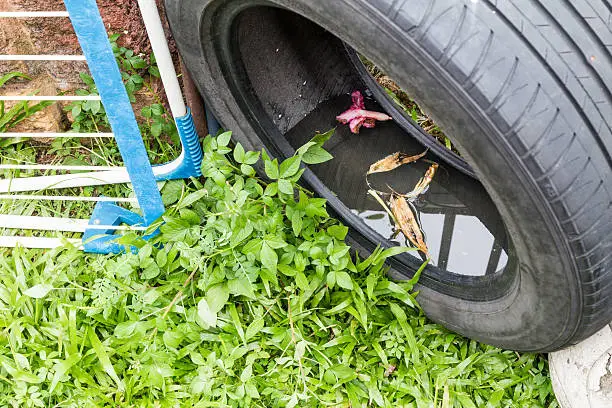 Photo of Used tyres potentially store stagnant water and mosquitoes breed
