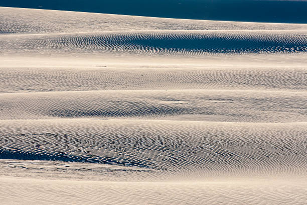 istock beautiful view of the coastal dunes 613781470
