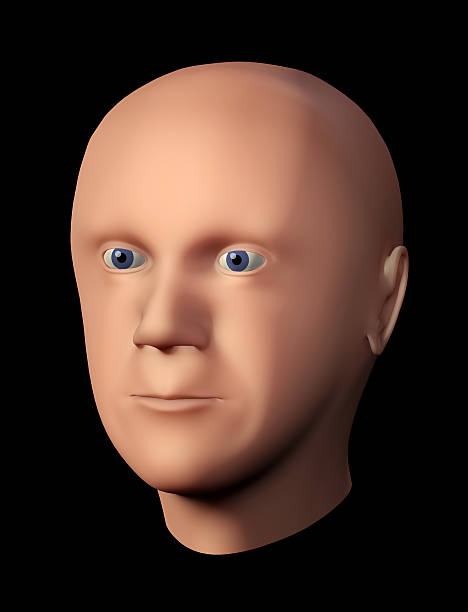istock 3D rendering of a male head without hair 613782516