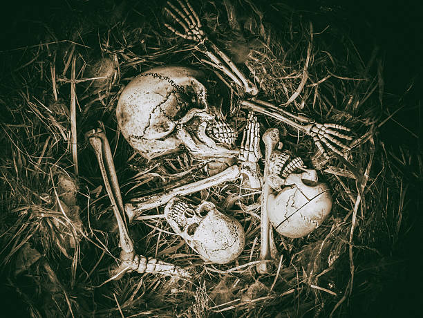 istock Abstract three skull face in abandoned bird nest. 613785524