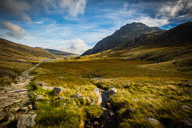 camino de montaña que conduce al lago en cwm idwal, devils kitchen - meadow single lane road nature field fotografías e imágenes de stock