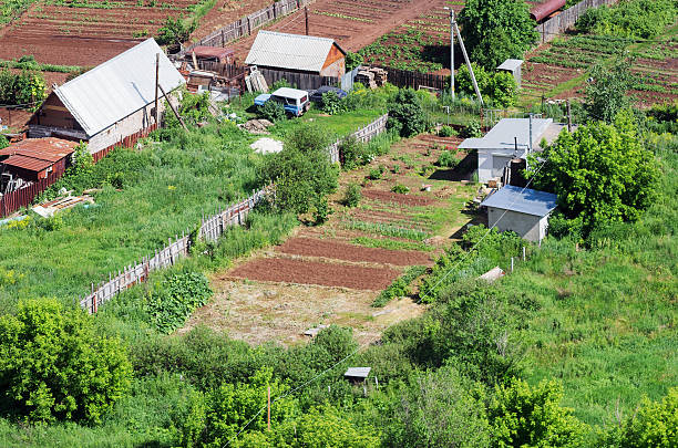 sites do país, vista superior. verão - vegetable garden vegetable high angle view weeding - fotografias e filmes do acervo