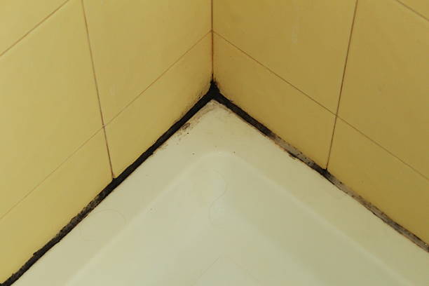 istock Mold in bathroom - Stock image 613787500
