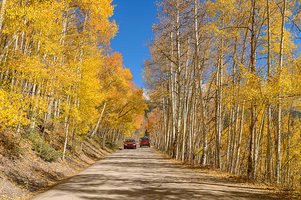 istock Autumn Mountain Road 613788294