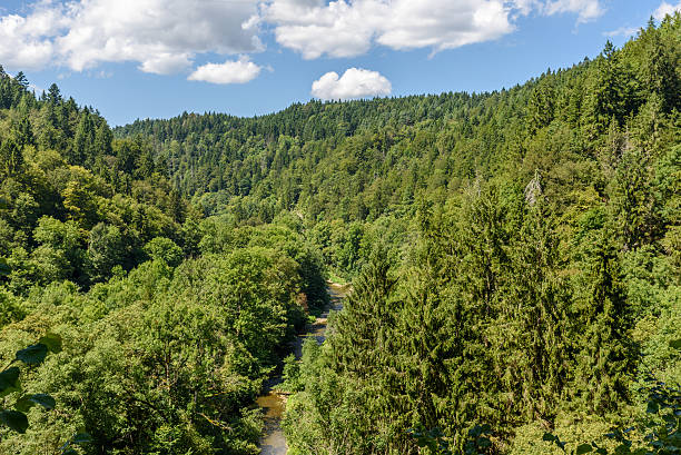 istock Wutach Gorge with river and waterfalls - Blackforest, Germany 613788624