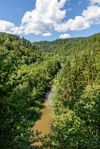 istock Wutach Gorge with river and waterfalls - Blackforest, Germany 613789008