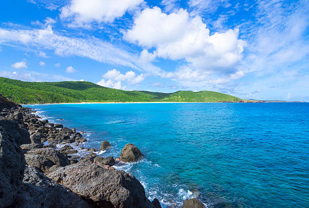 Rugged Caribbean coastline and rolling green hills Rugged dark boulders contrast wide sandy beach and rolling green hills of Resaca Beach on the Caribbean island of Isla Culebra in Puerto Rico culebra island photos stock pictures, royalty-free photos & images