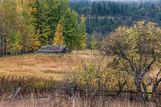istock Old shed in autumn. 613790672