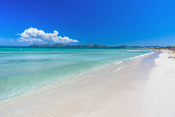 Playa Muro - Beach of Mallorca, balearic island of spain Playa Muro - beautiful coast and beach of Mallorca, balearic island of spain bay of alcudia stock pictures, royalty-free photos & images