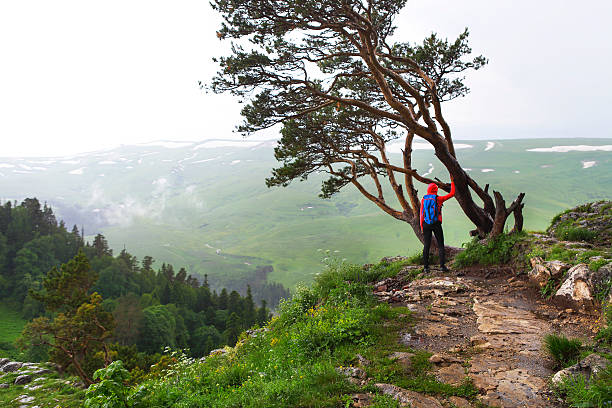 Hiking woman, climber or trail runner in mountains. Hiking woman, climber or trail runner in mountains, inspirational landscape. Hiker with backpack looking at beautiful view. Travel, fitness and healthy lifestyle outdoors in summer nature. stars in your eyes stock pictures, royalty-free photos & images