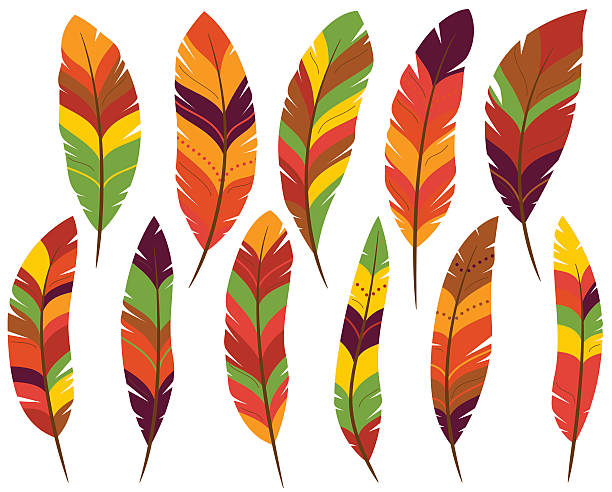 illustrations, cliparts, dessins animés et icônes de thanksgiving ou plumes colorées d’automne - culture indienne dinde