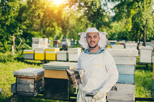 Portrait of beekeeper