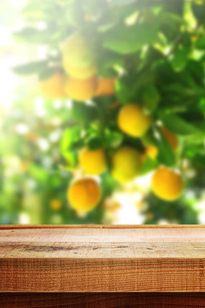 istock Wooden table and blur orange garden background. 613793806