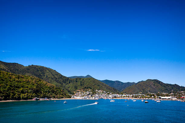 Picton on Queen Charlotte Sound of Cook Strait, New Zealand The town of Picton on Queen Charlotte Sound of the Cook Strait, New Zealand. picton new zealand stock pictures, royalty-free photos & images