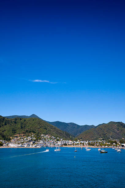 picton en el queen charlotte sound del estrecho de cook, nueva zelanda - queen charlotte sound fotografías e imágenes de stock