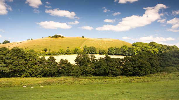 Giant Hill The chalk hill figure at Cerne Abbas in the rolling landscape of England's Dorset Downs. cerne abbas giant stock pictures, royalty-free photos & images