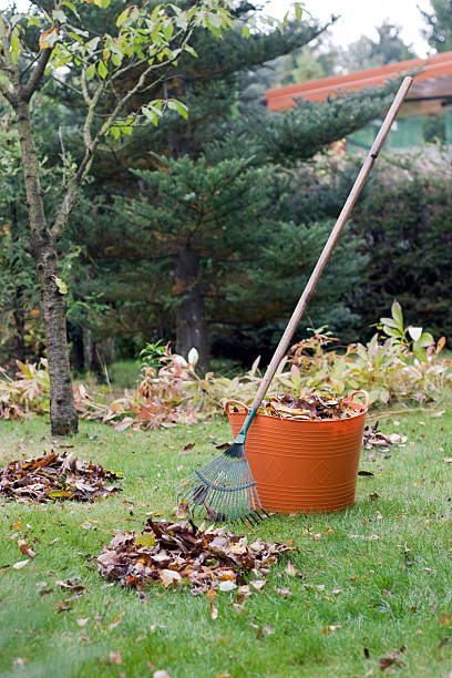 istock Autumn garden cleaning 613862148