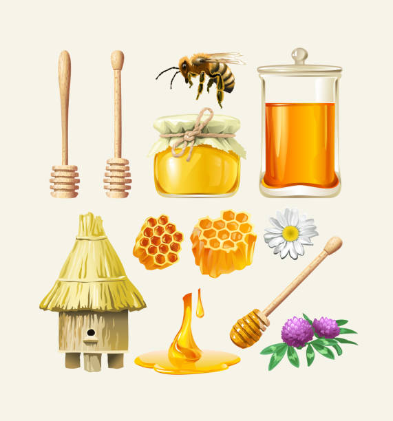 Set of vector honey icons. Set of vector honey icons. Bee, honeycomb, a jar of honey, hive insignia healthy eating gold nature stock illustrations