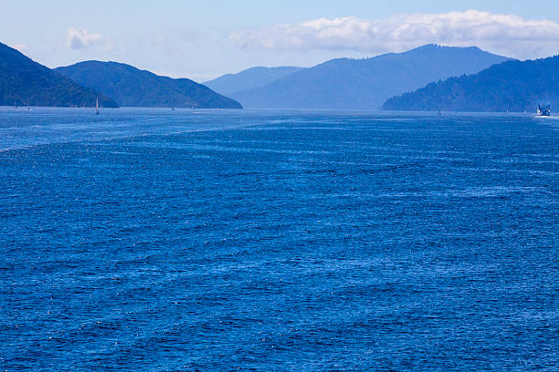 cook strait landscape of new zealand - cook strait imagens e fotografias de stock