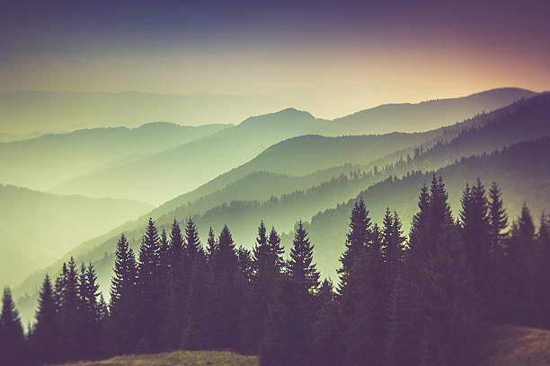 istock Misty summer mountain hills landscape. 613863660