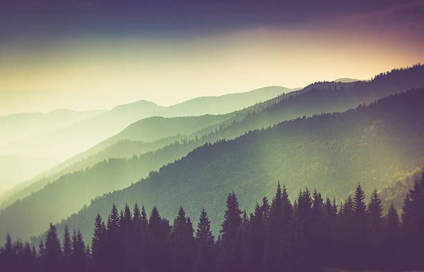 istock Misty summer mountain hills landscape. 613864370