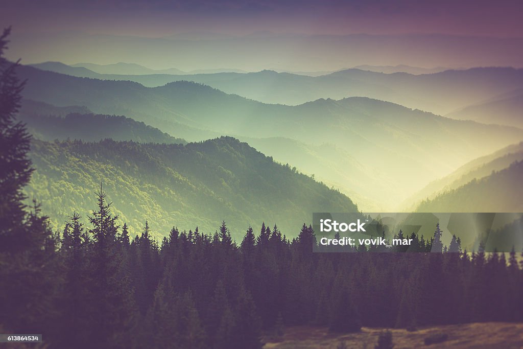 Nebligen Sommer Berg Hügel der Landschaft. - Lizenzfrei Abenddämmerung Stock-Foto