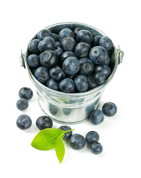 istock fresh blueberries in a bucket over white 613866888
