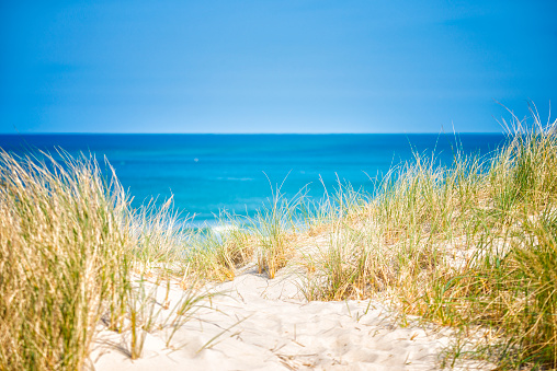 West coast of Jutland, Denmark. Sand dunes with dune grass.