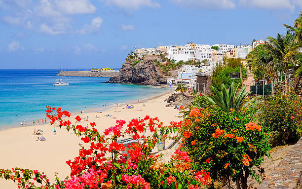 istock Beach in Morro Jable, Fuerteventura. 613868540