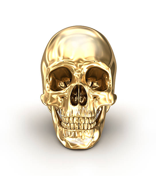 istock Golden human skull over white , 3D illustration 613871092