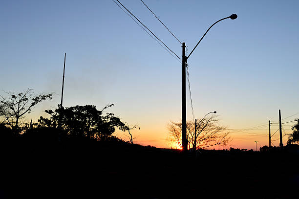 istock Silhouette of some trees and a power pole during sunset 613872164