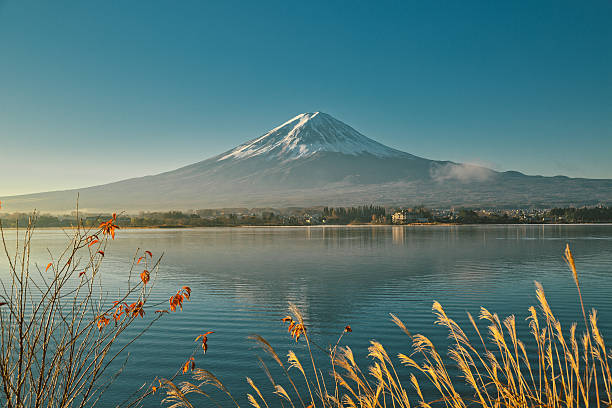 Mount Fuji and Lake Kawaguchi Mount Fuji and Lake Kawaguchi at autumn lake kawaguchi stock pictures, royalty-free photos & images