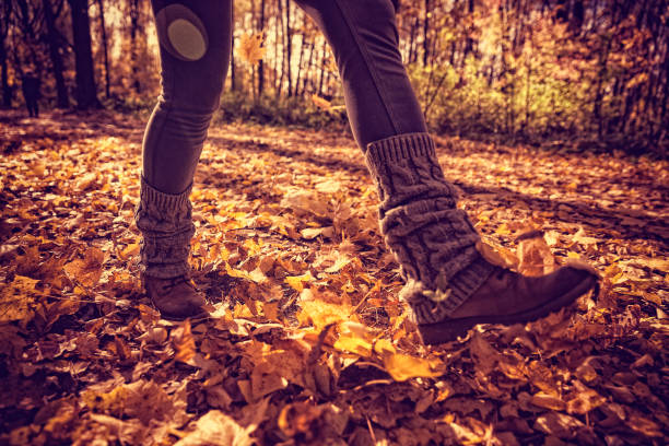 istock Woman in autumn park 613878510