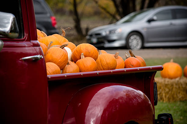 istock Pumpkins in truck 613880328