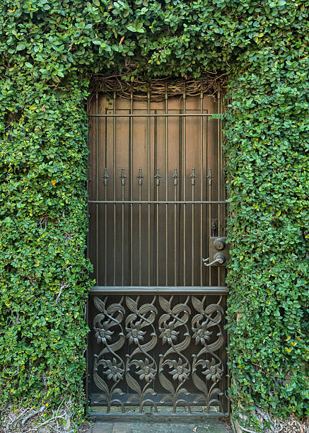 istock Wrought Iron Door and Ivy 613880654