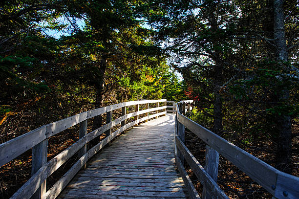 istock Way to the Ocean 613881186