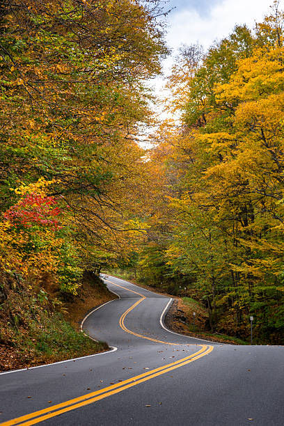 istock winding road in Vermont 613882106