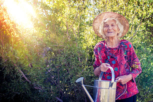 beautiful senior woman gardening, holding watering can - senior women rose women flower bed imagens e fotografias de stock