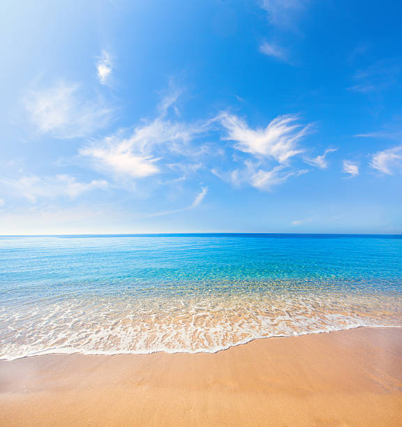 istock beach and tropical sea 613884026