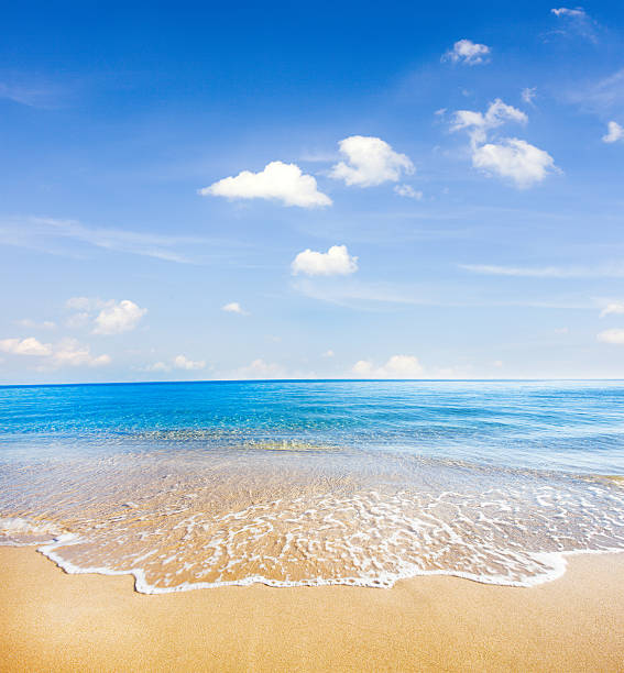 istock beach and tropical sea 613884050