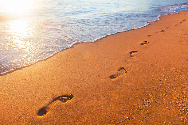 istock beach, wave and footsteps at sunset time 613884160