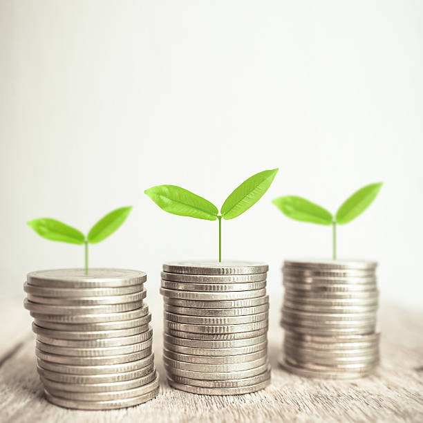 istock Growing plant on coin money 613885180