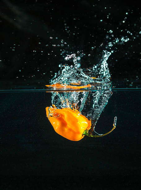 Hot Habanero chile pepper splashing into clear water.  the splashing mostion of the water is fronzen still.  