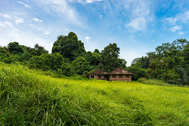 istock Two old houses in green valley 613885762