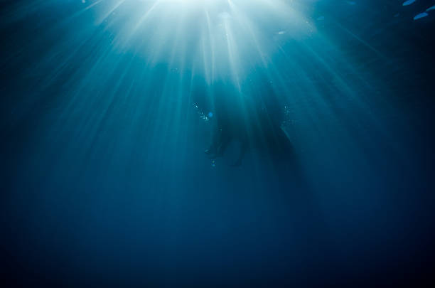 istock Paddle boarders sit on the surface of beautiful blue water 613886560